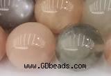 CMS2073 15 inches 12mm round moonstone gemstone beads