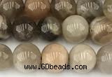 CMS2087 15 inches 8mm round moonstone gemstone beads