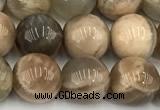 CMS2088 15 inches 10mm round moonstone gemstone beads