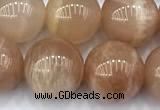 CMS2113 15 inches 10mm round moonstone beads