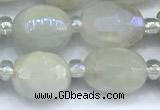 CMS2130 15 inches 8*10mm - 9*12mm faceted nuggets AB-color moonstone beads