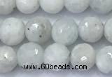 CMS2140 15 inches 6mm faceted round white moonstone beads