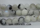 CMS216 15.5 inches 8mm round white moonstone gemstone beads