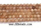 CMS2259 15 inches 8mm faceted round orange moonstone beads