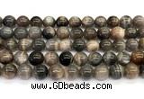 CMS2289 15 inches 10mm round grey moonstone beads wholesale