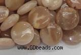 CMS23 15.5 inches 14mm flat round moonstone gemstone beads wholesale