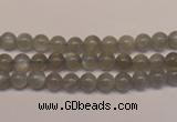 CMS300 15.5 inches 5mm round natural grey moonstone beads wholesale