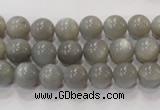 CMS304 15.5 inches 9mm round natural grey moonstone beads wholesale