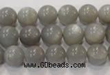 CMS306 15.5 inches 11mm round natural grey moonstone beads wholesale