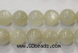 CMS313 15.5 inches 10mm round natural moonstone beads wholesale