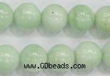 CMS406 15.5 inches 14mm round green moonstone beads wholesale