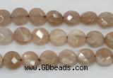 CMS43 15.5 inches 8mm faceted coin moonstone gemstone beads