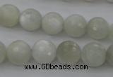 CMS453 15.5 inches 8mm faceted round white moonstone gemstone beads