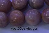 CMS507 15.5 inches 16mm round moonstone beads wholesale