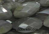 CMS52 15.5 inches faceted marquise 15*30mm moonstone gemstone beads