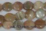 CMS521 15.5 inches 12mm flat round moonstone beads wholesale