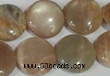 CMS525 15.5 inches 20mm flat round moonstone beads wholesale