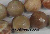 CMS577 15.5 inches 20mm faceted round moonstone beads wholesale