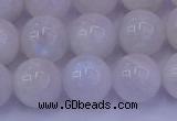 CMS644 15.5 inches 12mm round white moonstone beads wholesale