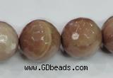 CMS65 15.5 inches 20mm faceted round moonstone gemstone beads