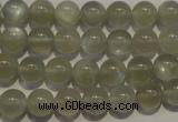 CMS652 15.5 inches 8mm round grey moonstone beads wholesale