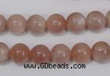 CMS754 15.5 inches 10mm round natural moonstone beads wholesale