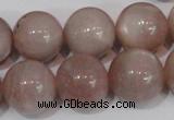 CMS759 15.5 inches 17mm round natural moonstone beads wholesale