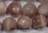 CMS769 15.5 inches 18mm faceted round natural moonstone beads