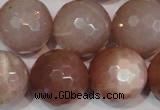 CMS770 15.5 inches 20mm faceted round natural moonstone beads