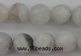 CMS802 15.5 inches 8mm faceted round white moonstone beads