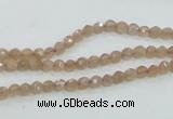 CMS81 15.5 inches 4mm faceted round moonstone gemstone beads