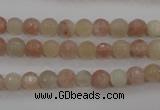 CMS870 15.5 inches 6mm faceted round moonstone gemstone beads