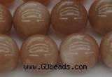 CMS935 15.5 inches 14mm round A grade moonstone gemstone beads