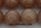 CMS936 15.5 inches 16mm round A grade moonstone gemstone beads