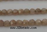 CMS940 15.5 inches 4mm faceted round A grade moonstone gemstone beads