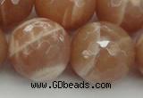 CMS948 15.5 inches 20mm faceted round A grade moonstone gemstone beads