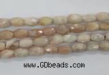 CMS99 15.5 inches 5*7mm faceted rice moonstone gemstone beads