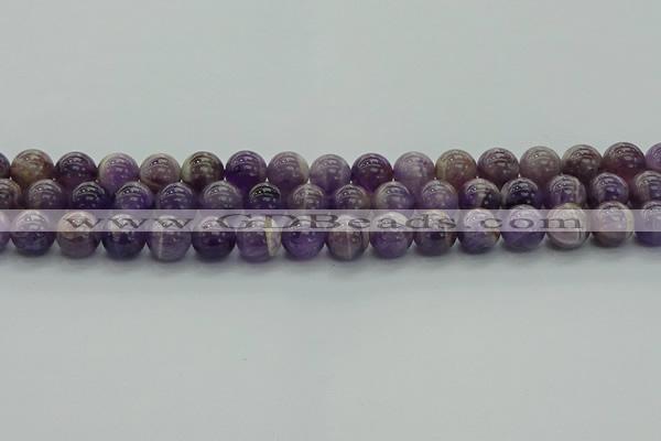 CNA1003 15.5 inches 10mm round dogtooth amethyst beads wholesale