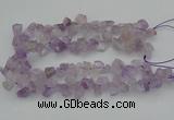 CNG1157 15.5 inches 8*12mm - 13*18mm nuggets ametrine beads