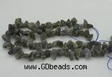 CNG1159 15.5 inches 8*12mm - 13*18mm nuggets labradorite beads