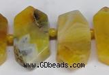 CNG1392 15.5 inches 15*25mm - 20*40mm wand agate gemstone beads