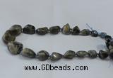 CNG2520 15.5 inches 10*14mm - 20*35mm nuggets labradorite beads