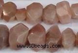 CNG2701 15.5 inches 10*14mm - 13*18mm faceted nuggets moonstone beads