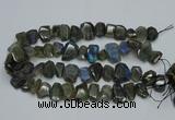 CNG2825 15.5 inches 13*18mm - 15*20mm freeform labradorite beads