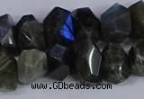 CNG2830 15.5 inches 10*14mm - 13*18mm faceted nuggets labradorite beads