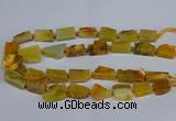 CNG2900 15.5 inches 12*16mm - 15*25mm freeform agate beads