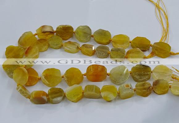 CNG2907 15.5 inches 12*16mm - 15*25mm freeform agate beads