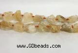 CNG3563 15.5 inches 18*20mm - 25*30mm nuggets rough citrine beads