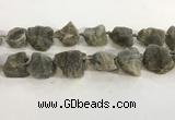 CNG3567 15.5 inches 18*20mm - 25*30mm nuggets rough labradorite beads