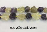 CNG3576 18*20mm - 25*30mm nuggets rough amethyst & lemon quartz beads